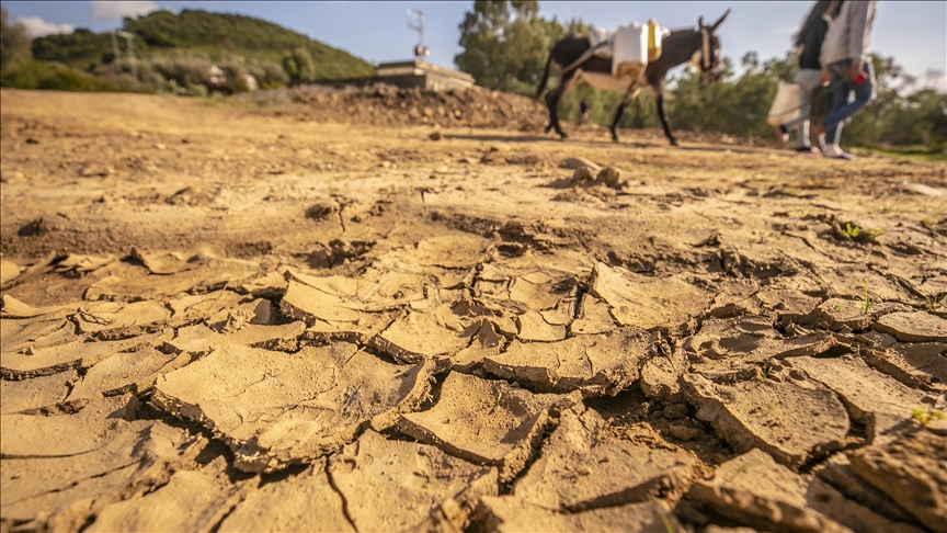 Tunisie : Restrictions sur l'utilisation de l'eau à cause de la sécheresse